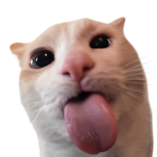 blep