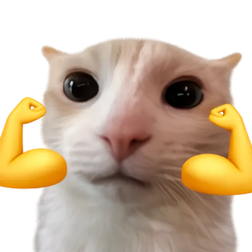diamond paws activated